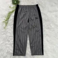 PUMA プーマ ジャージ パンツ ズボン スポーツ トレーニング