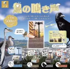 鳥の鳴き声　ガチャガチャ　カモ