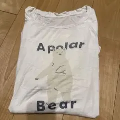 ジェラートピケ　シロクマ　メンズ　L