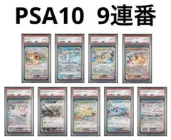 引退品　ブイズ9種sarまとめ売り　UVスリーブ&ローダー付き　ブラッキー等 引退品ブイズ9種sarまとめ売りUVスリーブ&ローダー付きブラッキー等