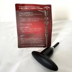 Item thumbnail for item 6bc70e45-ee4e-4866-8014-d069400e6ca6