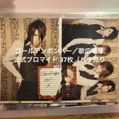 【バラ売り可】ゴールデンボンバー 歌広場淳 公式フォト（2011年〜2013年）