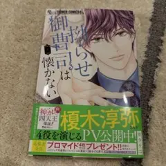 拗らせ御曹司は懐かない