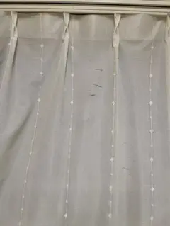 Item thumbnail for item 0de3f3b5-23c6-4e9d-bd74-f6e448639996