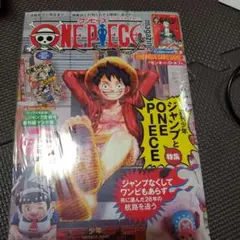 ONE PIECE magazine 20新品未開封シュリンク付き