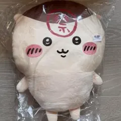 Item thumbnail for item 870dd4a2-2018-48df-b706-1e76d3755009