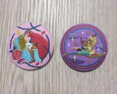 ディズニー刺繍缶バッジ2個セット 眠れる森の美女 アラジン