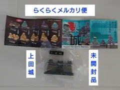 Item thumbnail for item 869396b7-bc2a-4324-b84f-9c6100032975