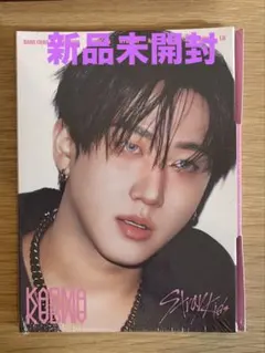 straykids KARMA 新品未開封 アコーディオン盤 チャンビン