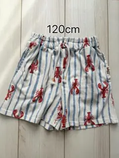 Solberry Jam ロブスター柄 ハーフパンツ 120cm バースデイ