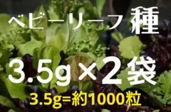 ベビーリーフの種 約3.5g×2袋 (約2000粒) おまけの種付き！のサムネイル