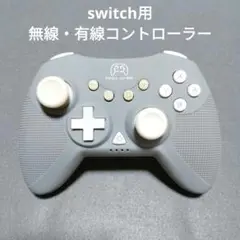 switch コントローラー グレー
