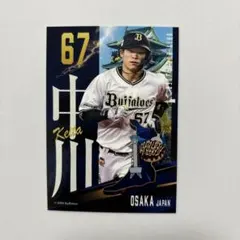 Item thumbnail for item f8f874de-801c-47a9-b500-62ba0ddfba63