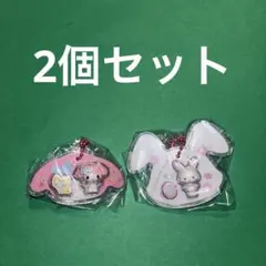 サンリオキャラクターズパッケージチャーム（2個セット）