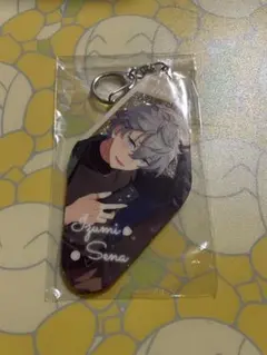【匿名取引】あんスタ 瀬名泉 中国 花伴アクキー