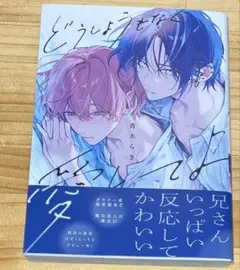 【漫画】どうしようもなく愛してよ 青木らき