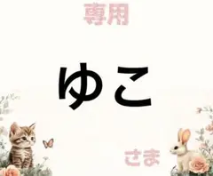 専用