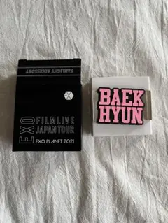 BAEKHYUN ベッキョン　ペンライトアクセサリー　新品未使用