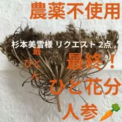 杉本美雪様 リクエスト 2点 まとめ商品