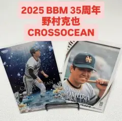 Item thumbnail for item 5488dd4f-5efa-4aa0-83c4-8137ebab52db