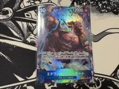 トレーディングカード　エドワード・ニューゲート