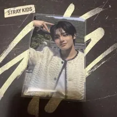 Stray Kids スキズ アイエン トレカ 合 HOP タワレコ ラキドロ