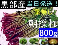 まろんママ様専用 天然みず 800g 採れたて - メルカリ