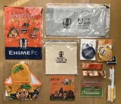 愛媛FCグッズセット