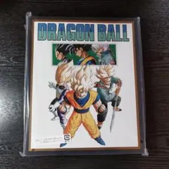 ドラゴンボール スーパーダイバーズ 9ポケットバインダー 40th カード欠品