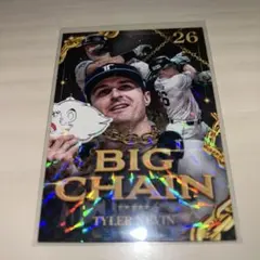 ネビン スポーツカード