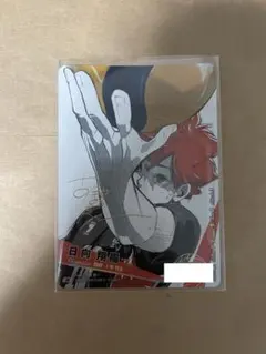 2025年最新】日向翔陽 極の人気アイテム - メルカリ