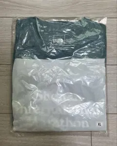The North Face 2024湘南国際マラソンTシャツXL