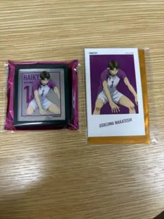 ハイキュー!! 牛島若利