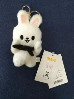 2026年最新】skzoo マグネットキーリングの人気アイテム - メルカリ