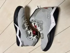 Item thumbnail for item ce869acd-5bfe-425b-a109-e1e1fafe86a5