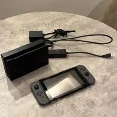 Nintendo Switch グレー 本体+付属品（microSDカード込）