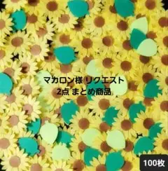 マカロン様 リクエスト 2点 まとめ商品