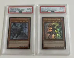 2025年最新】聖域に仕えし練達の魔導師 psa10の人気アイテム