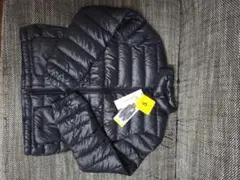 Item thumbnail for item a38a99ec-f9b6-4cb7-b5f6-4b7bb48c7b04