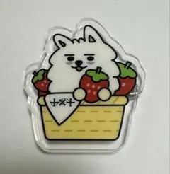 TXT プルバトゥ ヨンモン ご当地 アクリルバッジ 福岡 いちご