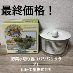 最終価格！野菜水切り器（バリバリサラダ）　山研工業株式会社のサムネイル