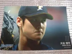 大谷翔平 2015 ハイライトフォト No.164 日本ハム 球団公式写真