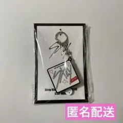 2025年最新】ボイスキーホルダー straykidsの人気アイテム - メルカリ