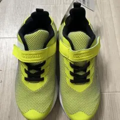 Item thumbnail for item 8dccab95-6104-43ef-8858-fa1ebb62177e