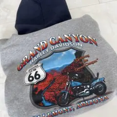 Harley-Davidson パーカー バイカラー グランドキャニオン 古着のサムネイル