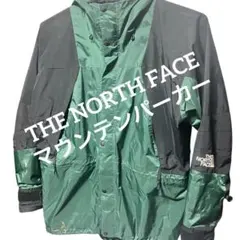 THE NORTH FACE 마운틴 파커 GORE-TEX 노스페이스