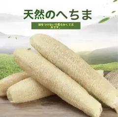 Item thumbnail for item b6dd0be6-b8b7-4d22-b2ec-f4e8ea3be182