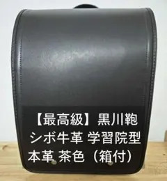 Item thumbnail for item 9e8ad3a9-3a39-43ba-abdd-b915490b485d