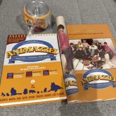 匿名発送】MAZZEL Moment Box 2026 ANIMAZZEL - メルカリ