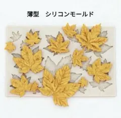 Item thumbnail for item 51443325-6c45-4221-a356-62663bde4617